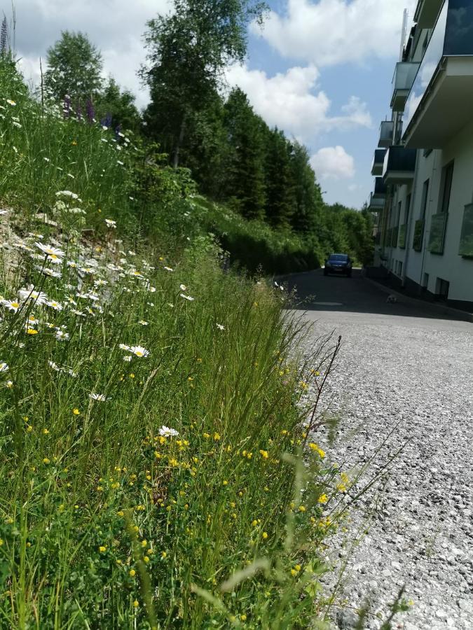 Apartment Bernard 1.10 *